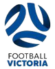 新兴体育会女足  logo