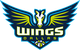 飞翼 logo