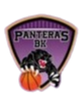 黑豹女篮  logo