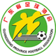 广东省女足  logo